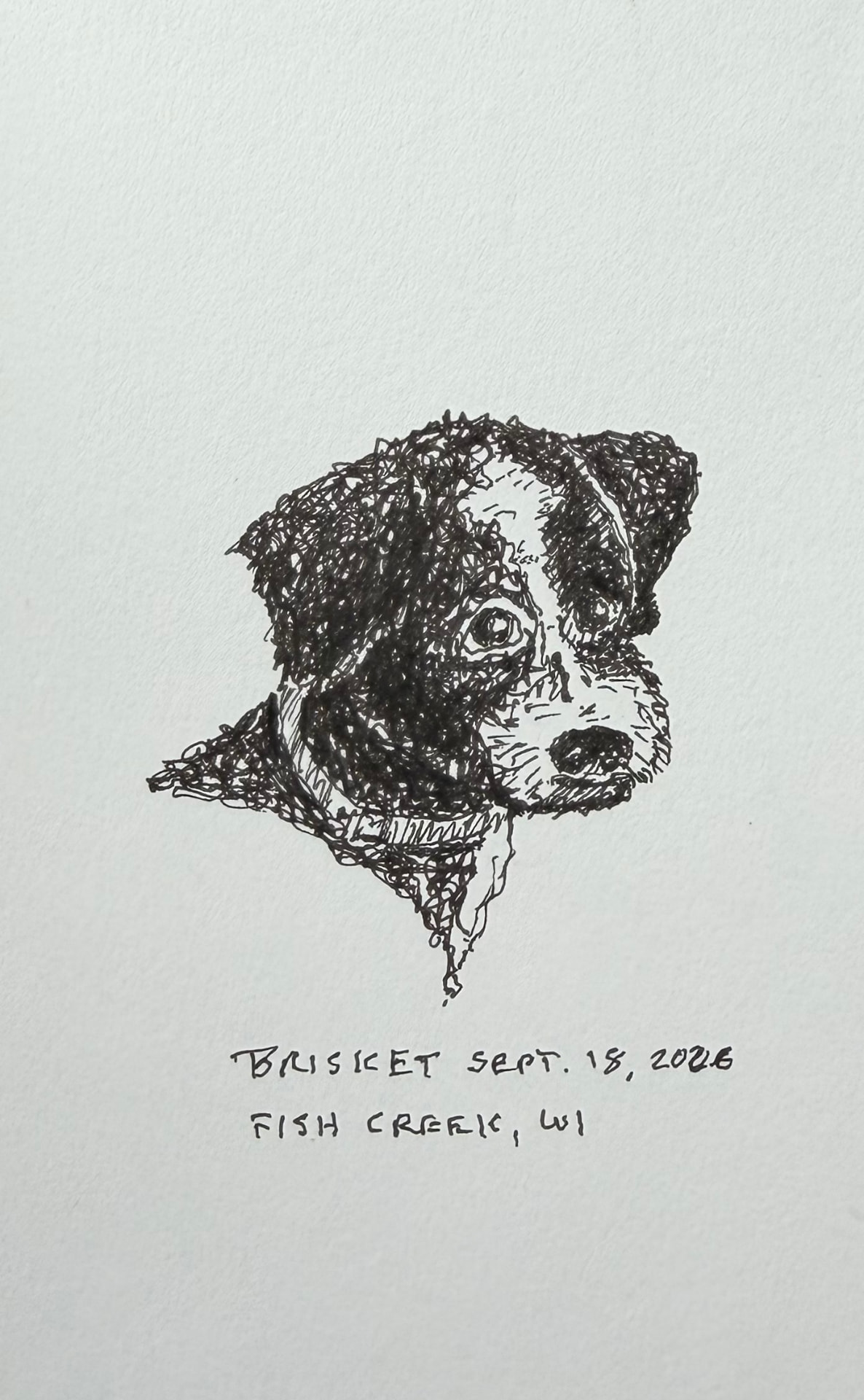Hand-drawn portrait of Brisket dated September 18, 2026, Fish Creek, Wisconsin
