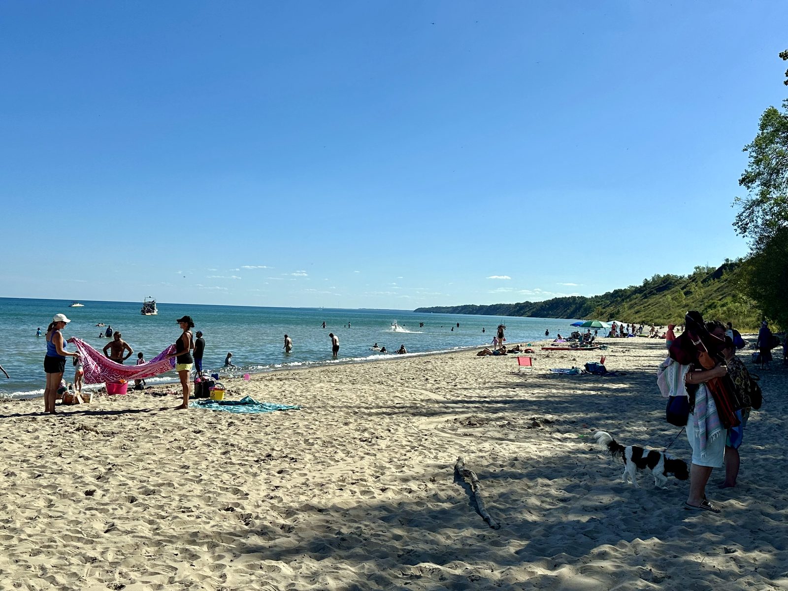Lake Michigan beach with swimmers, sand, and bluffs