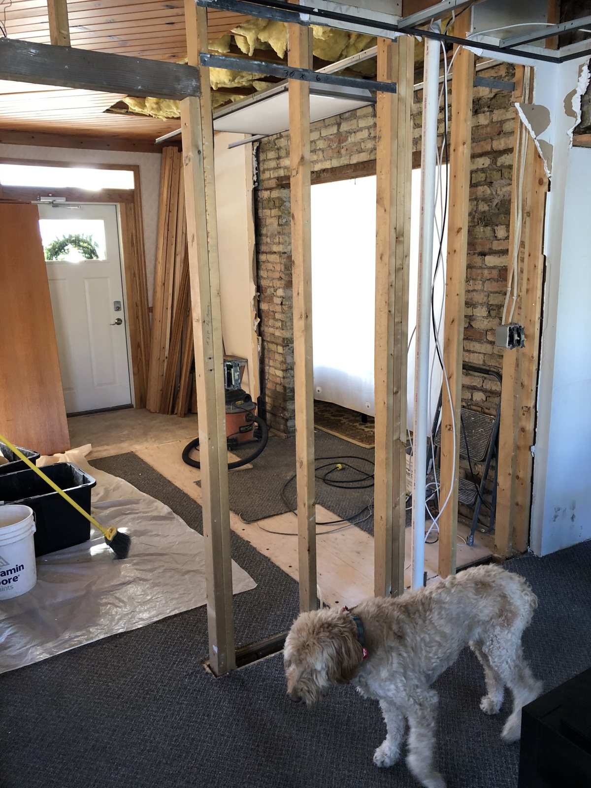 Jan 2021 · A four-legged site inspector